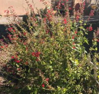 Redhen Rental Near Zion National Park - Accommodation Ohio