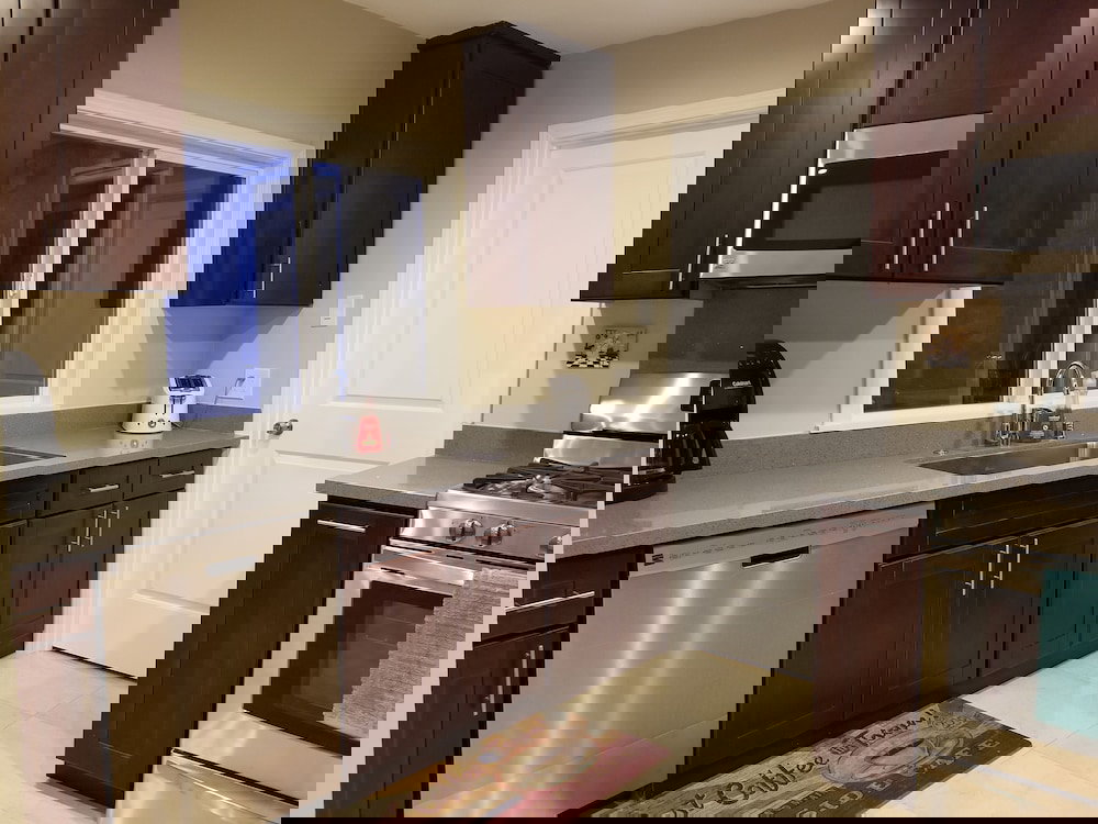 Juniper Berry - thumb 3