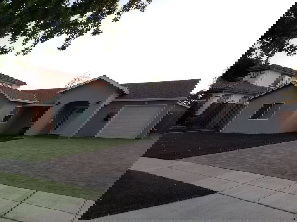 Juniper Berry - thumb 0