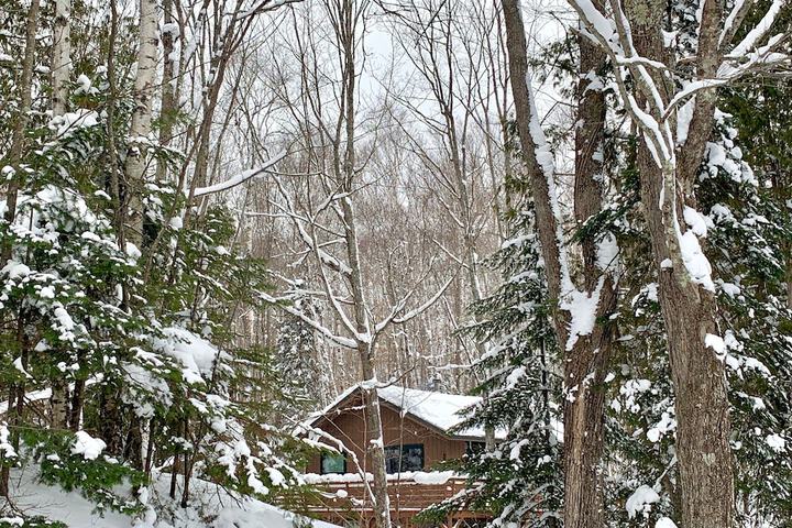 Hauser's Bayfield Cabin - thumb 1