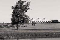 Gin Creek Plantation