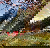 Clydesdale Outpost - Accommodation Ohio