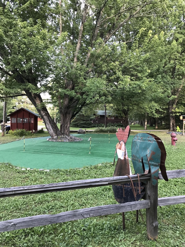Grey Wolf Lodge - thumb 0