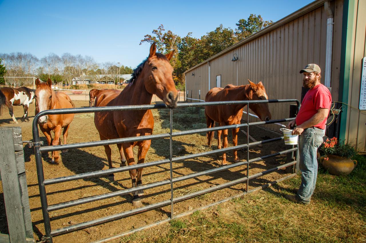 Holiday Inn Club Vacations - Apple Mountain Resort - thumb 20