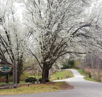 Forrest Hills Mountain Resort and Conference Center - Accommodation Ohio