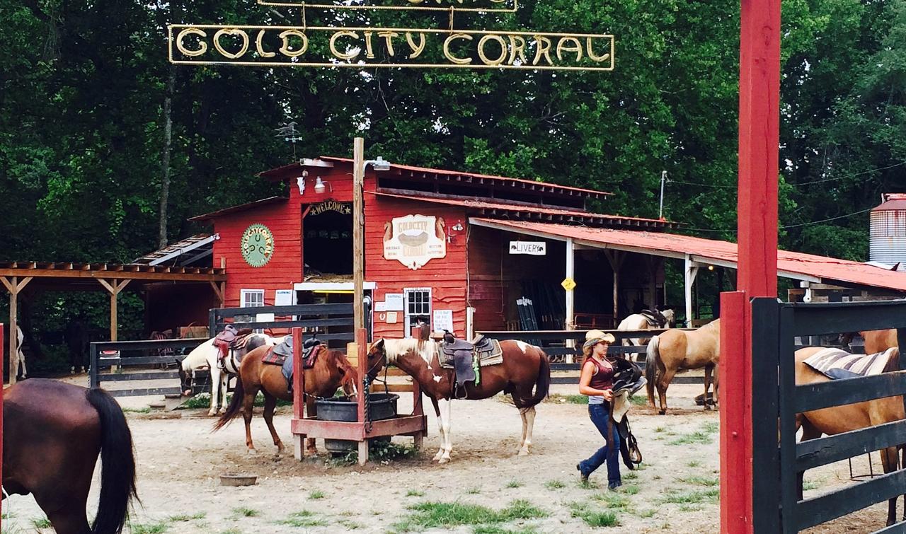 Forrest Hills Mountain Resort And Conference Center - thumb 1