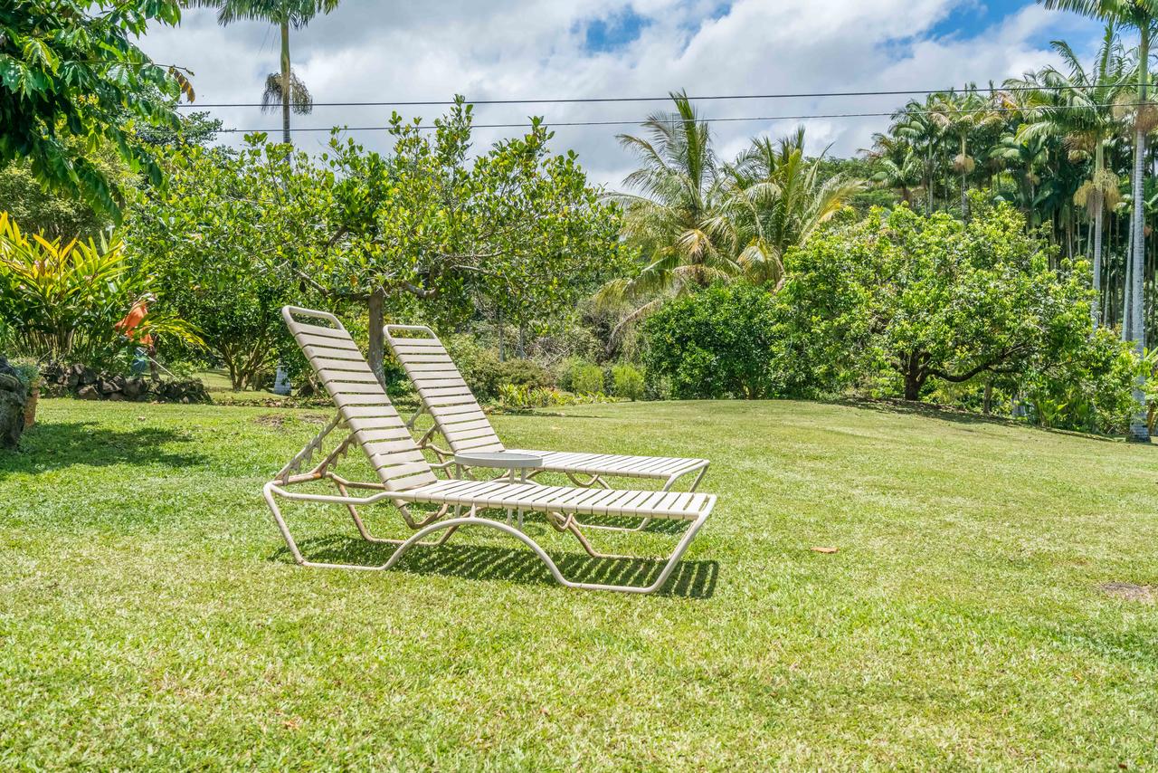 Old Hawaiian Bed And Breakfast - thumb 35