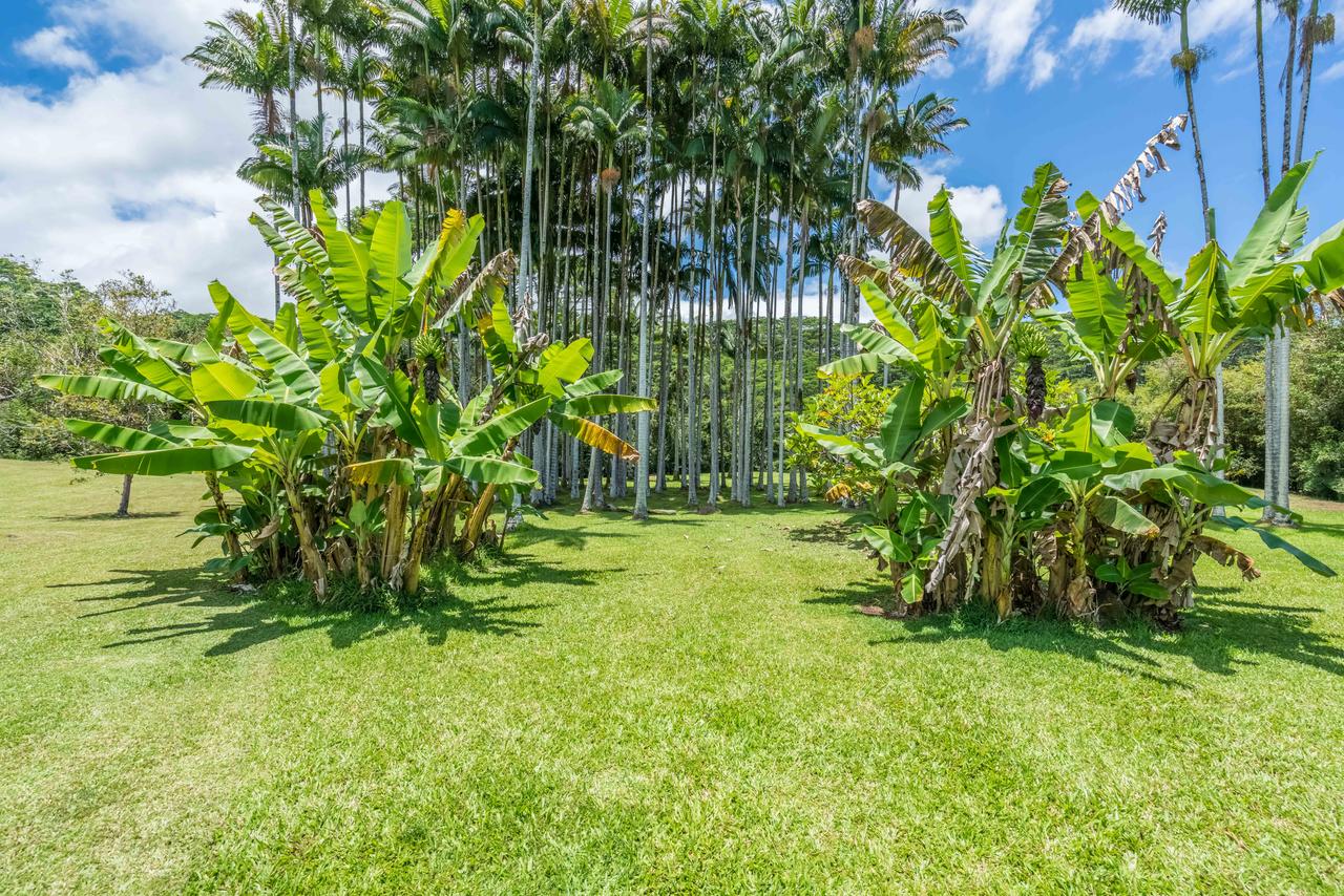 Old Hawaiian Bed And Breakfast - thumb 42