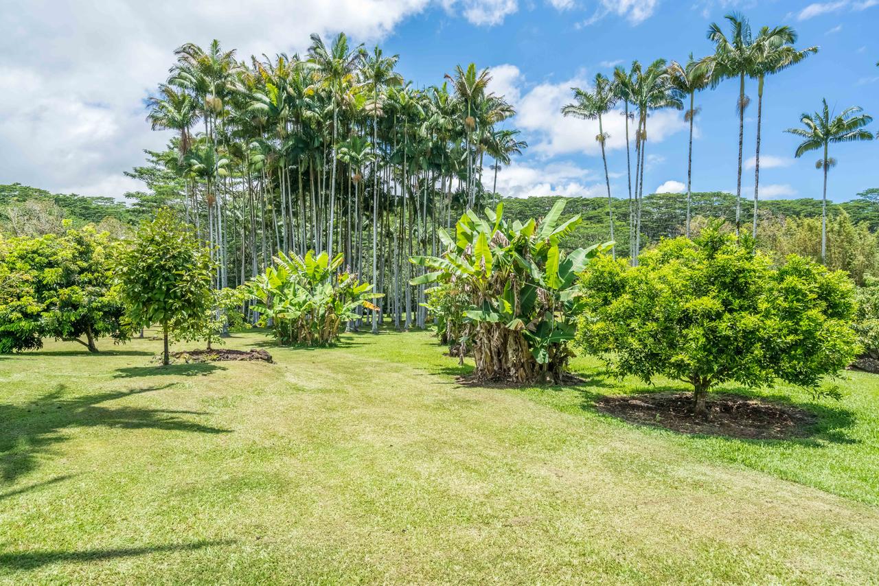 Old Hawaiian Bed And Breakfast - thumb 44