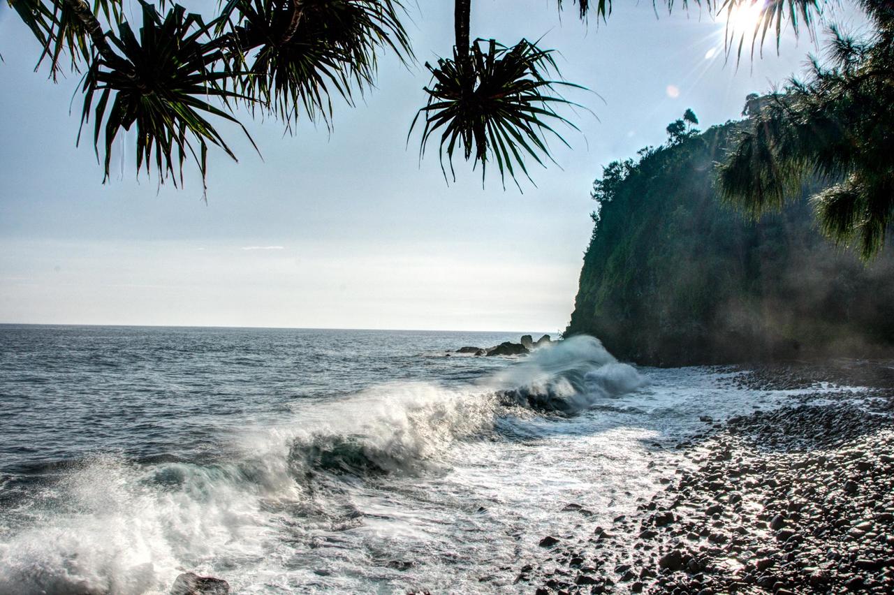 Ocean Soul (Big Island) - thumb 5