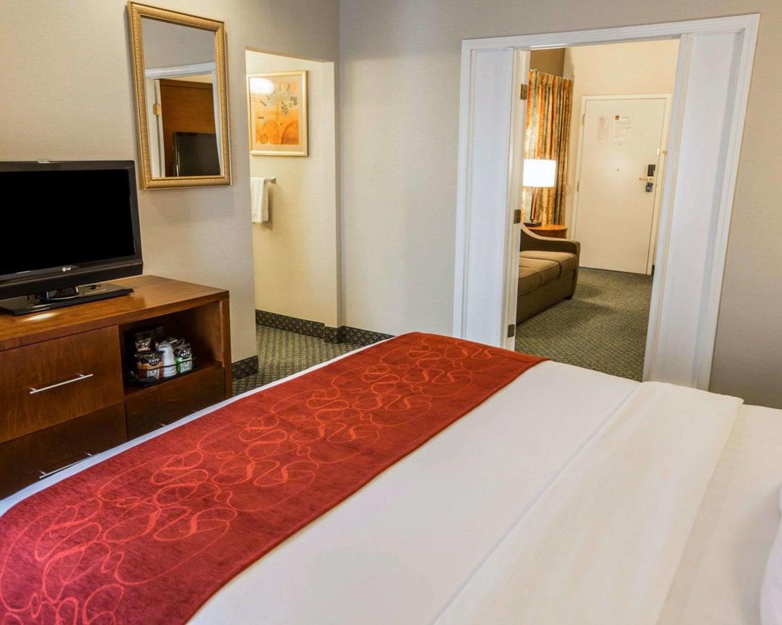 Comfort Suites Chicago - Oakbrook Terrace - thumb 8