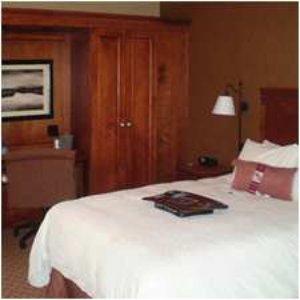 Hampton Inn East Peoria - thumb 6