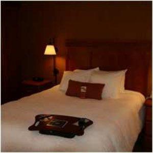 Hampton Inn East Peoria - thumb 5