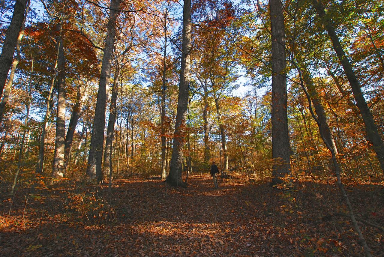 Spring Mill Inn - thumb 30