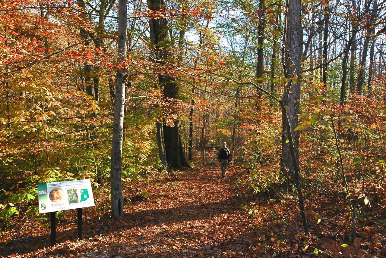 Spring Mill Inn - thumb 31