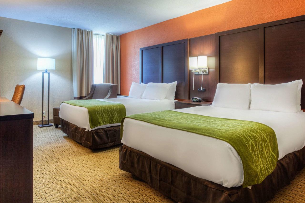 Comfort Inn & Suites Evansville Airport - thumb 33