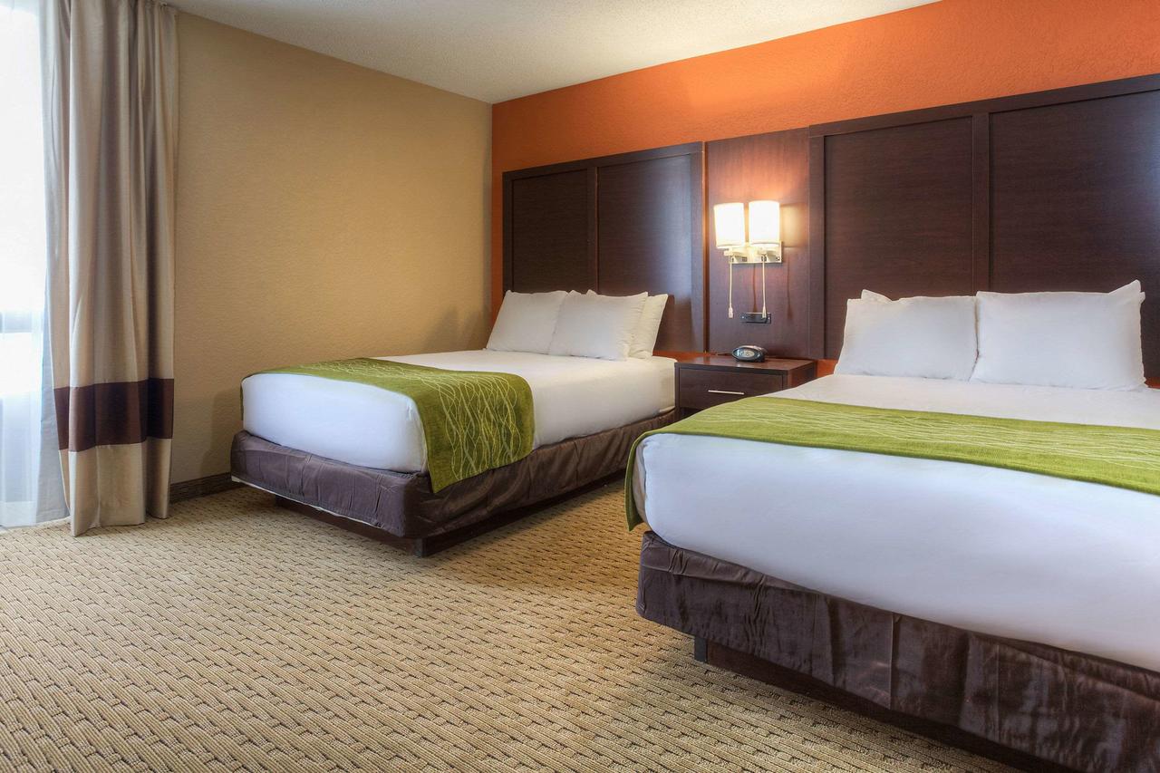 Comfort Inn & Suites Evansville Airport - thumb 20