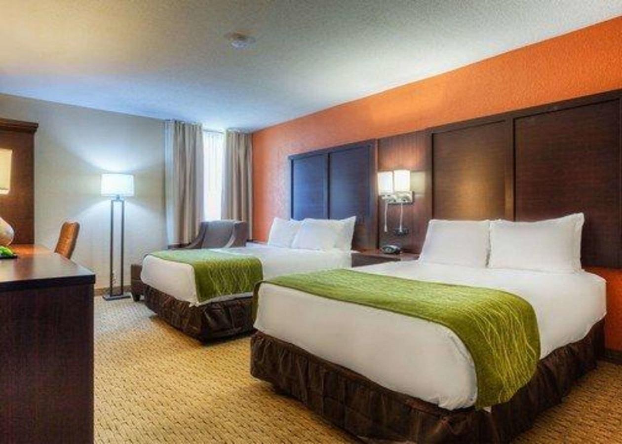 Comfort Inn & Suites Evansville Airport - thumb 10