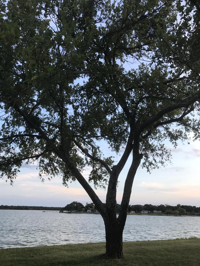 Oasis Lake Buchanan - thumb 6