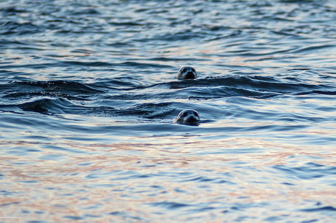 Log Home On Lopez-Spencer Spit - thumb 20