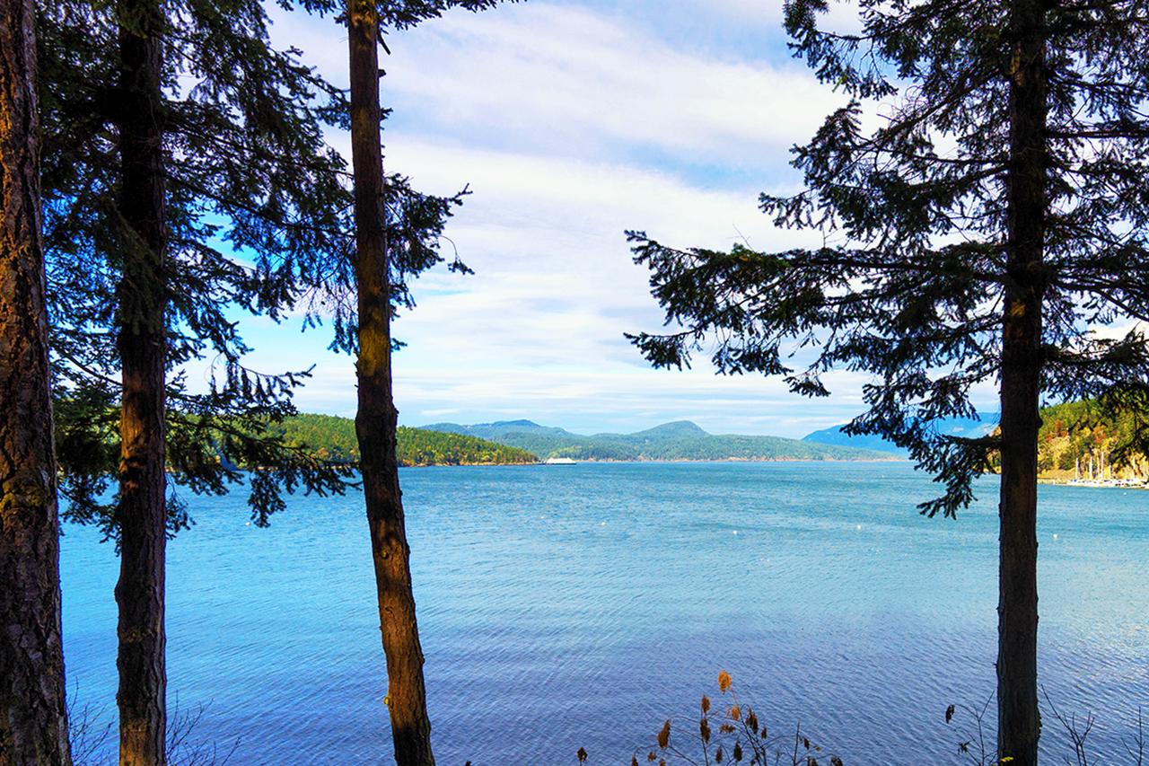 57 Mud Bay - thumb 20