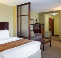 Comfort Suites Harvey - New Orleans West Bank - Accommodation Ohio