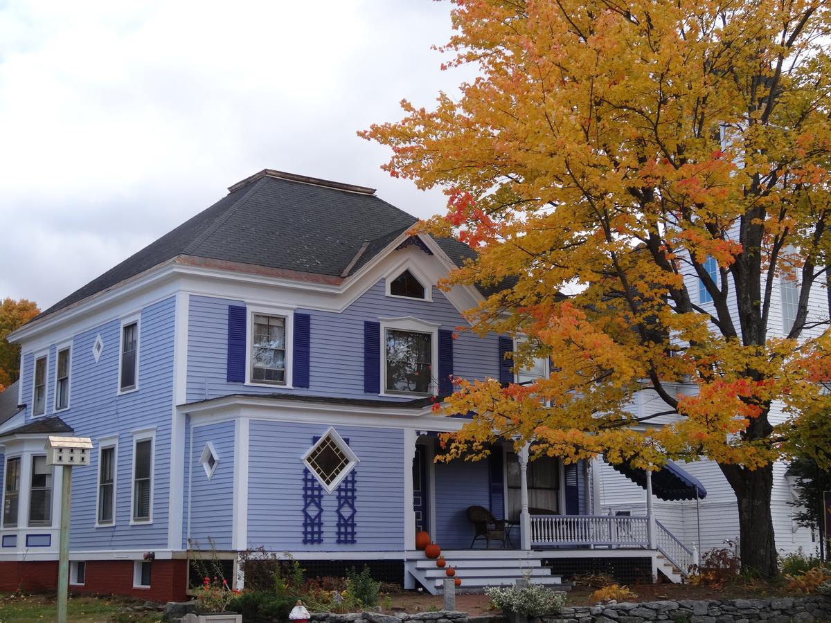 Holidae House Bed & Breakfast - thumb 16