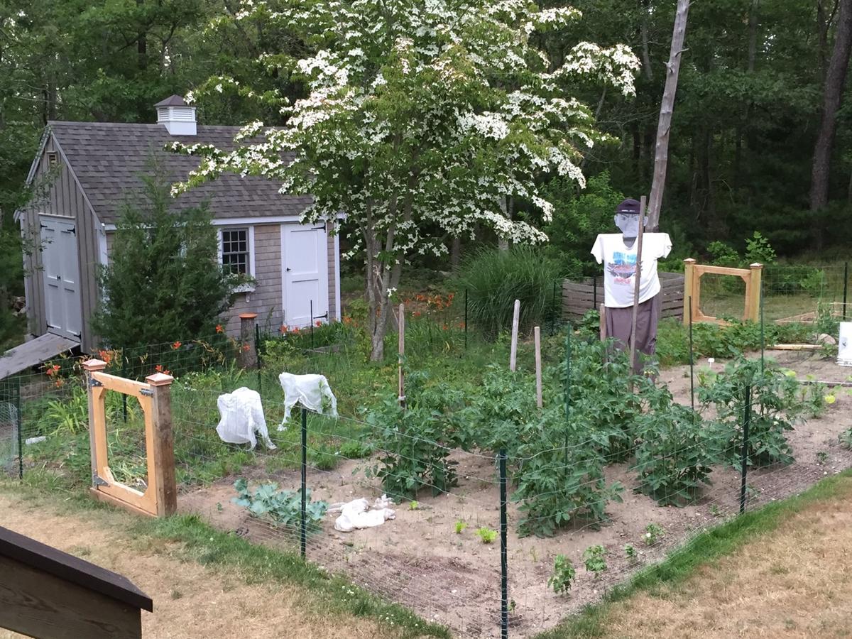 Forest Way Orleans - thumb 10