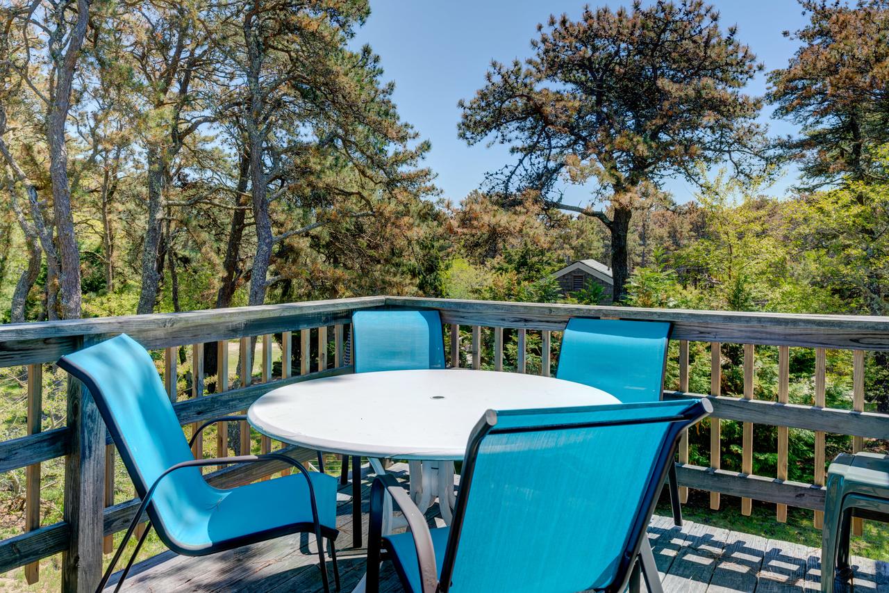 Nauset Beach Dream - thumb 10