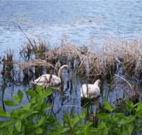 House on Boland Pond - Accommodation Ohio