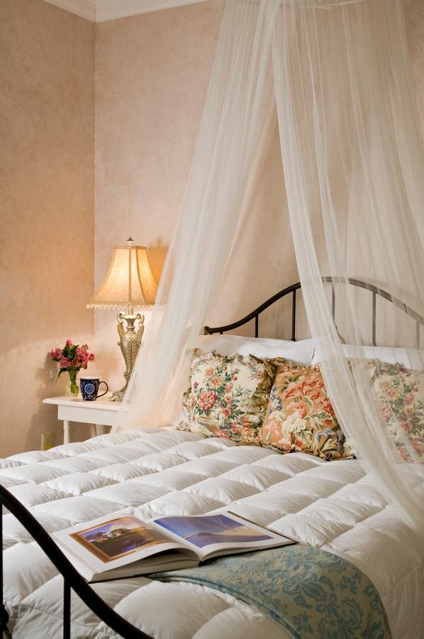 Hampton Terrace Inn - thumb 15