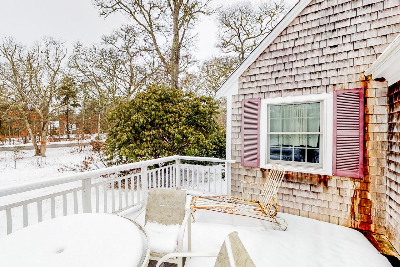 Orleans Oasis - thumb 1