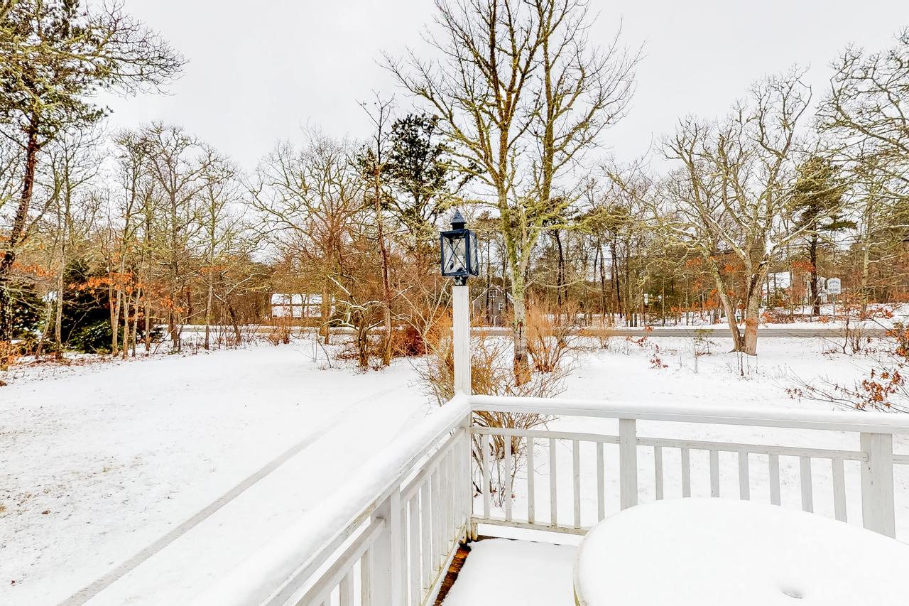 Orleans Oasis - thumb 39