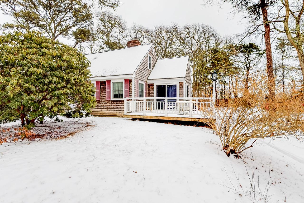 Orleans Oasis - thumb 0