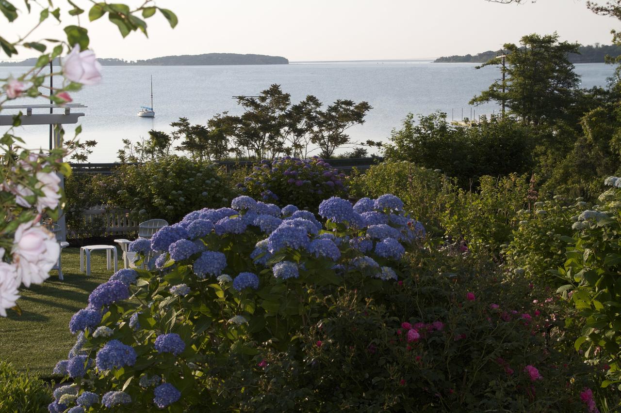 A Little Inn On Pleasant Bay - thumb 3