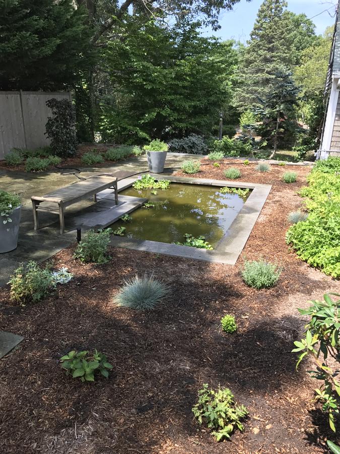 Large But Comfortable Home Walking Distance To Beach - thumb 6