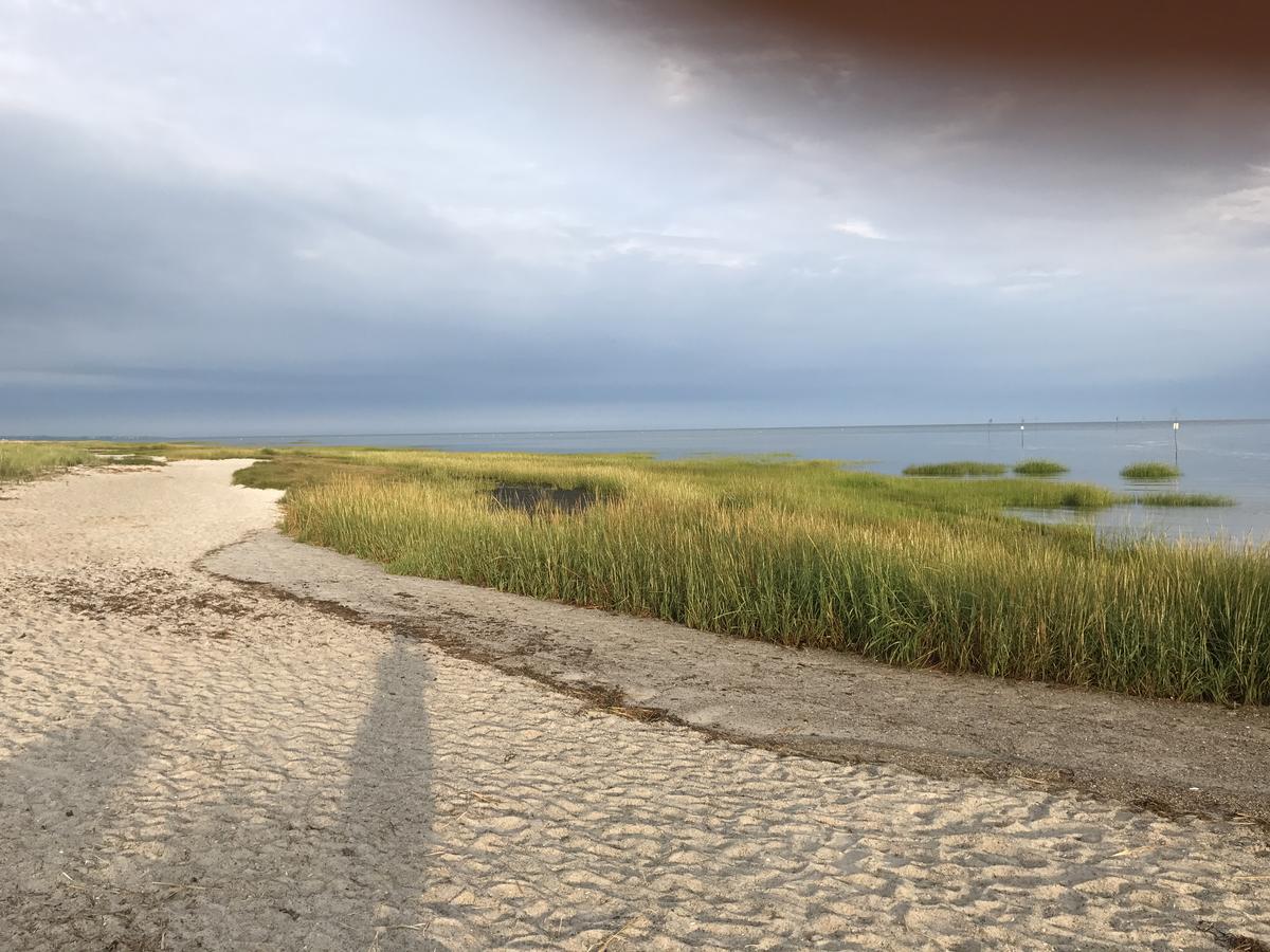 Large But Comfortable Home Walking Distance To Beach - thumb 4