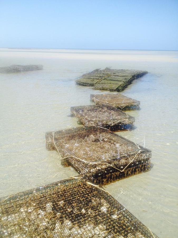 Large But Comfortable Home Walking Distance To Beach - thumb 8