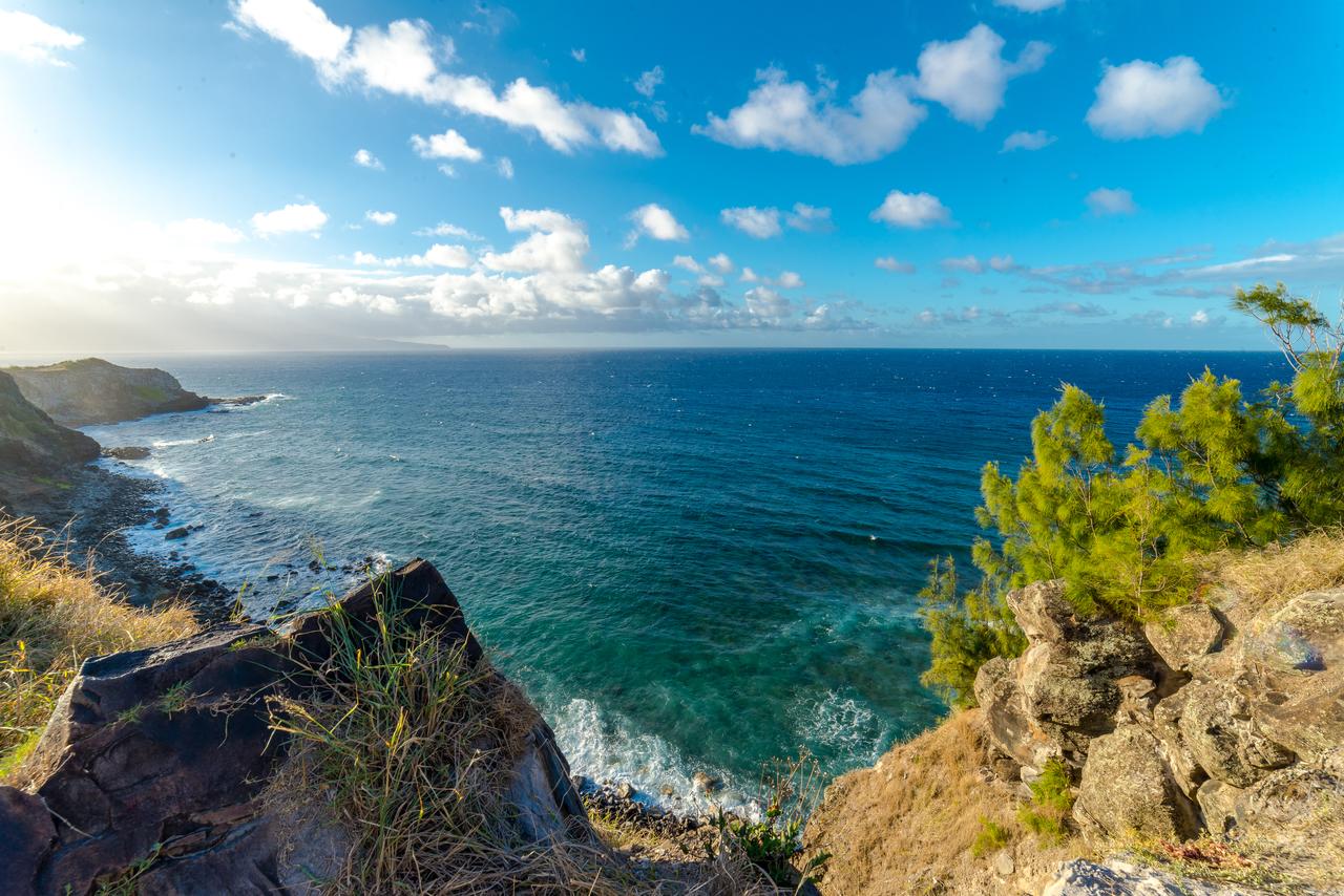 Kaanapali Royal F303 - thumb 33