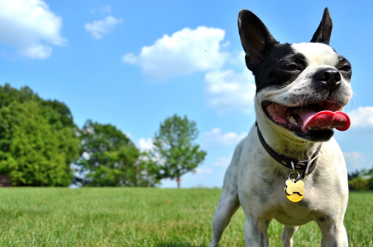 Aloft Minneapolis - thumb 23