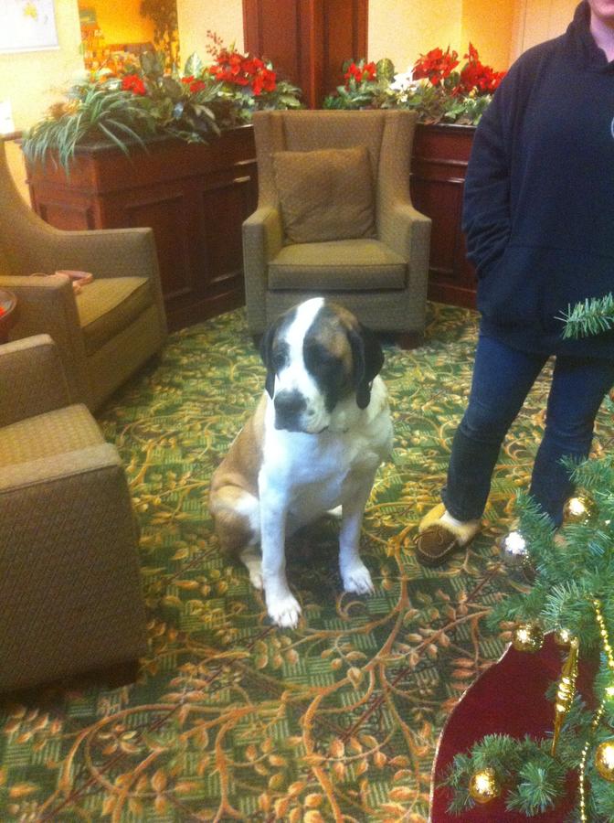 Baymont By Wyndham Ft. Leonard/Saint Robert - thumb 22