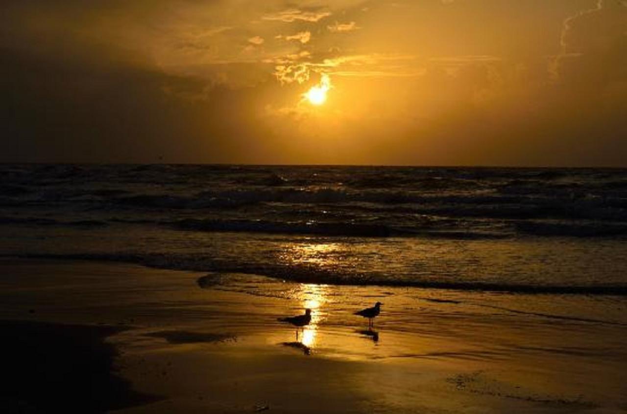 Leeward Isles Condominium - thumb 24