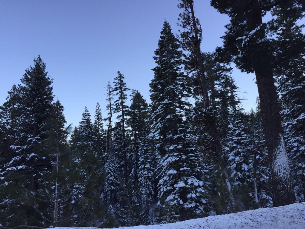 Lodge At Kingsbury Crossing - thumb 15