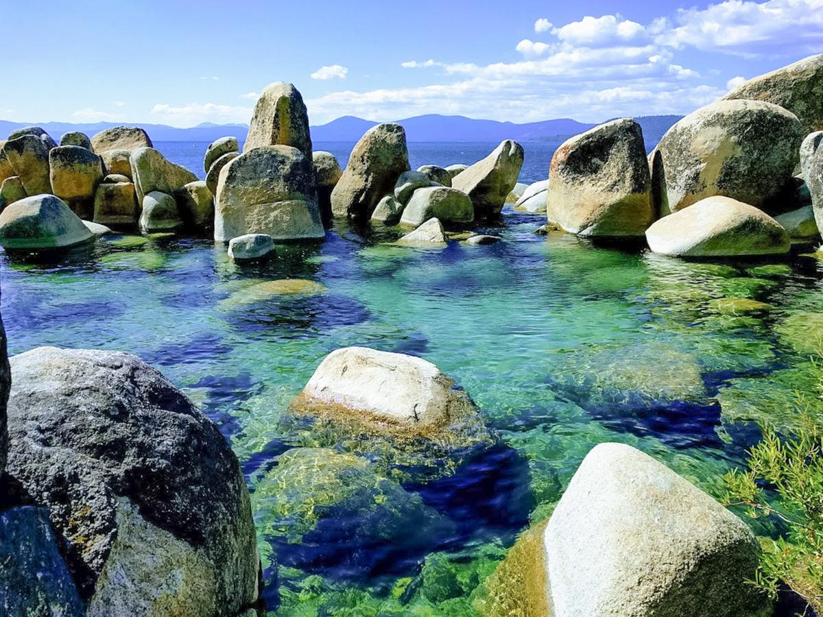 1000 Lakeshore Blvd Condo Unit 4 - thumb 12