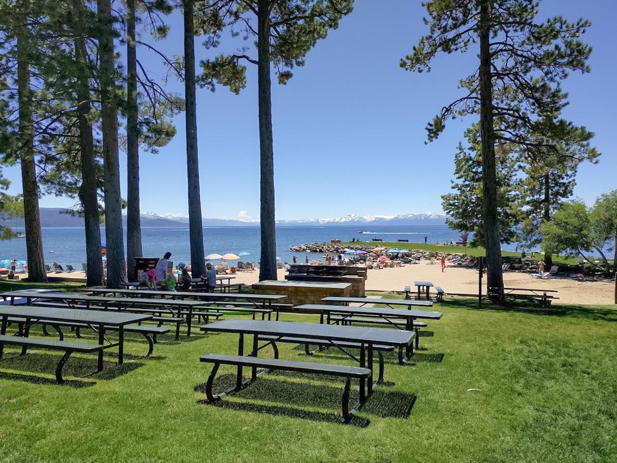 1000 Lakeshore Blvd Condo Unit 4 - thumb 2