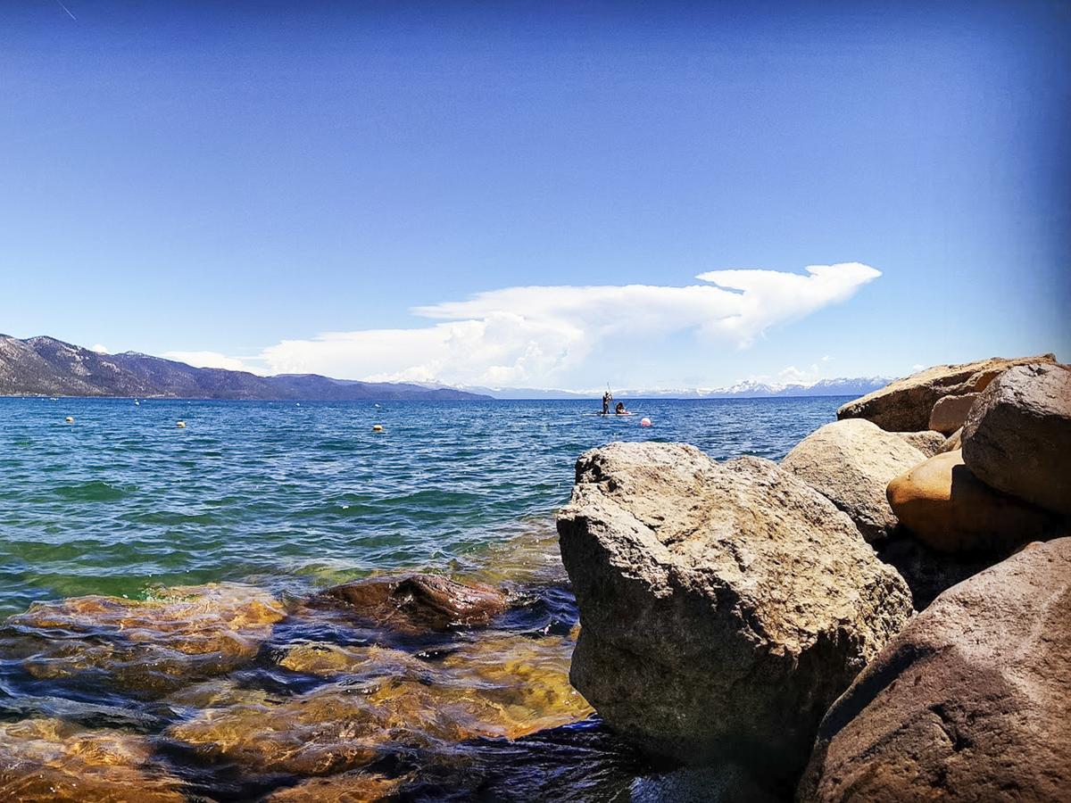 1000 Lakeshore Blvd Condo Unit 4 - thumb 14