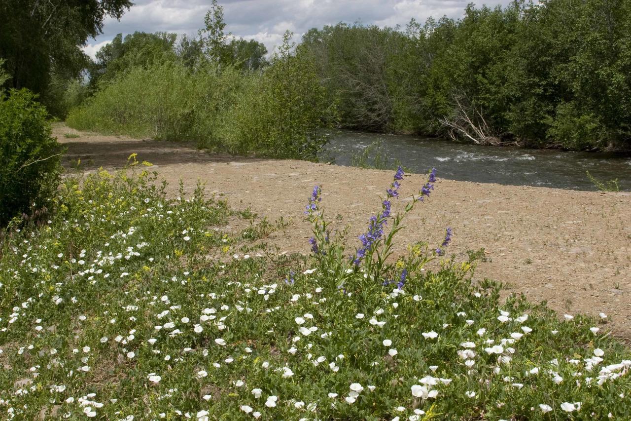 Elkhorn Lodge - thumb 12