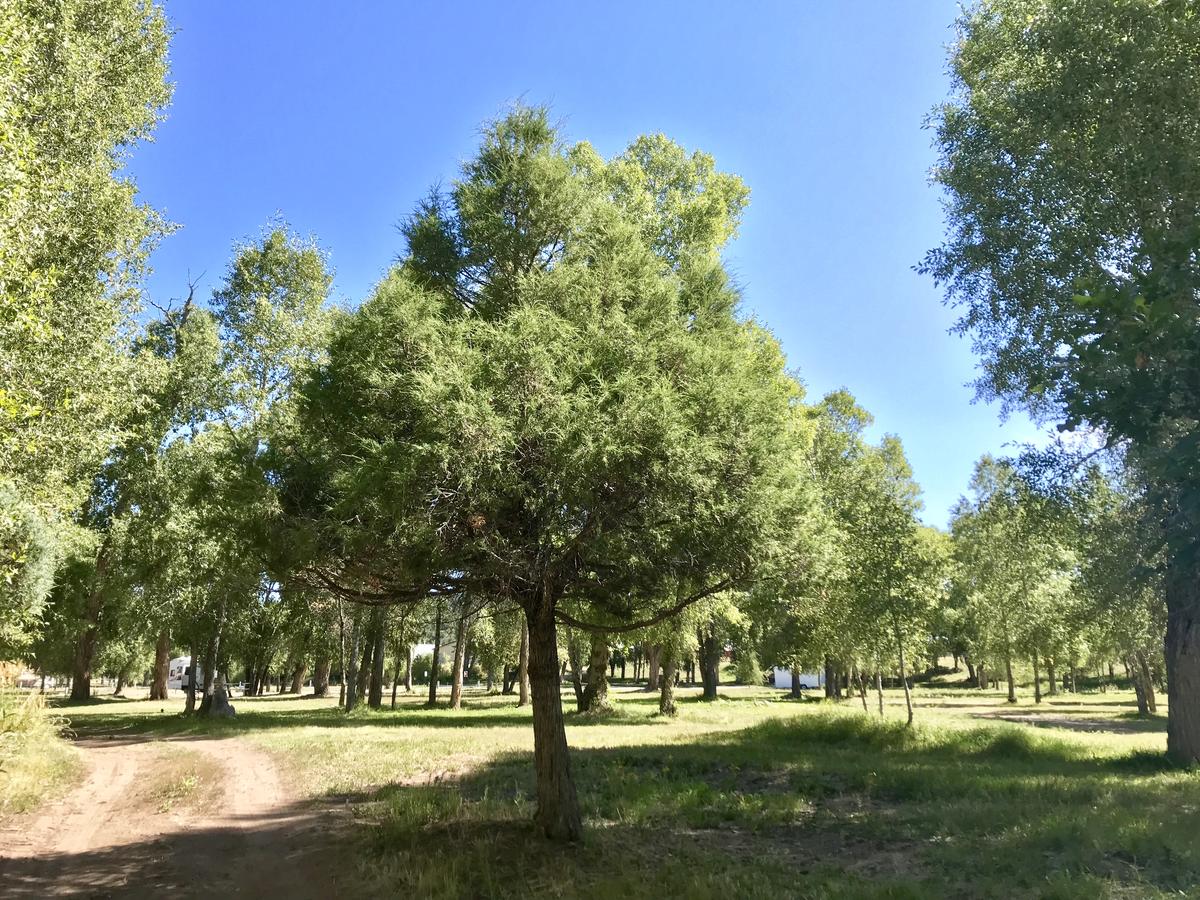 El Meson Lodge - thumb 11