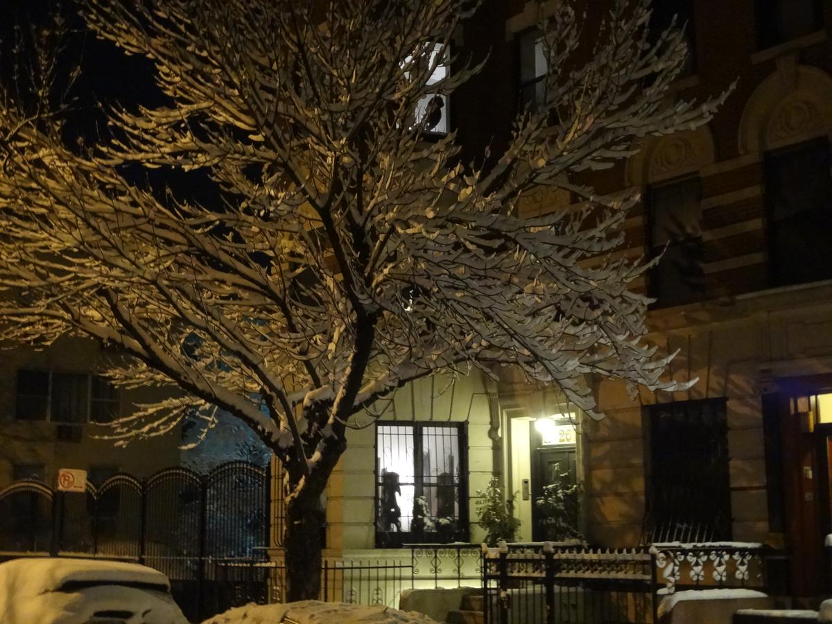 The Gallery House - thumb 5