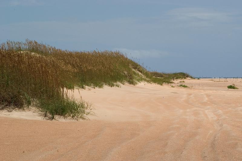 Hilton Garden Inn Outer Banks/Kitty Hawk - thumb 30